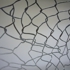 Jed_lind_2008