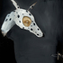 Spotted_dog_8x10_800