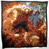 R136_in_30_doradus