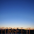 Forget_it