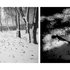Madison_1_latersameday