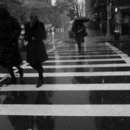 Crossing-in-the-rain