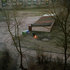 Alnis_stakle_lsd_01__41_