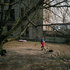Alnis_stakle_lsd_01__23_