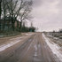 Alnis_stakle_lsd_01__15_