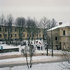 Alnis_stakle_lsd_01__7_