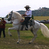 White_horse_cowboy