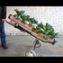 Portablecollards