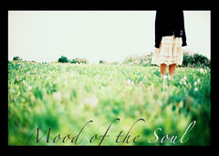 Photoshow_flyer_email_b