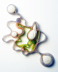 Cross Section 8,Alison Petty Ragguette