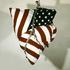 Flag_in_chains_collection_university_of_california_at_berkley