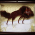 Hunter_small