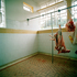 Babycarcass_0661_8_r
