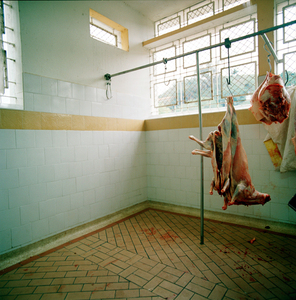 Babycarcass_0661_8_r