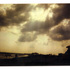 B_wconey3web