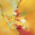 Tropical_winds
