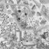 Random_drawing_composition__2
