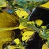 Image00137