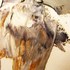 Image00001__98_