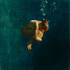 Eric__zener_mixed_media_returning_ii_1351_69