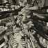 Canon_shards_detail