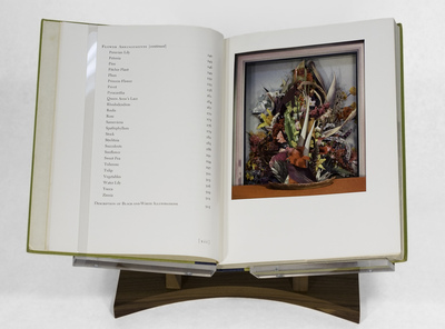 Book_5