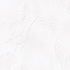 The_inversion__transcription__evening_track_and_attractor