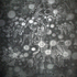 Black_flash