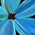 20100321_paintings_0009a4