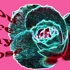 Youaremyrose