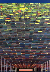 Empty Nest (Globemaster),Chris Barnard