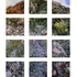 Gail_roberts__stone-stream_multi-panel_lo-res