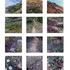 Gail_roberts__stone-trail_multi-panel_lo-res