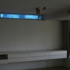 Paulrudolph_westport7