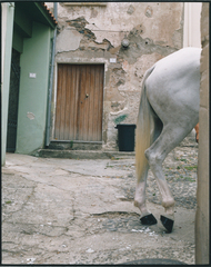 Avant le départ de l\'ardia de San Lussorio. Santulussurgiu (2),Patrick Faigenbaum