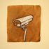 Lee__strong__sleek__likes_to_make_home_movies