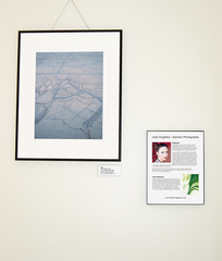 Gecko Gecko exhibition: Map,Leila Singleton