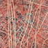Bonick_enthicket_75x69