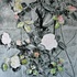 _roses_and_thorns__2008_bk_oil_on_canvas_50x50cm