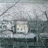 House_in_the_wilderness_2010__oil_on_canvas_50x50cm_ra