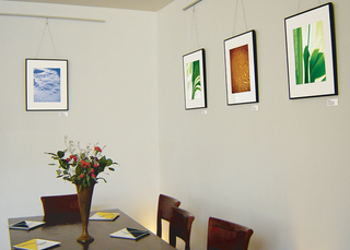 Gecko Gecko exhibition: Crystalline Craters, Ligaments I, Tangram, Ligaments II (L to R),Leila Singleton
