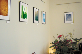 Gecko Gecko exhibition: Tangram, Ligaments II, Suminagashi, Frostnip, Bengal  (L to R) ,Leila Singleton