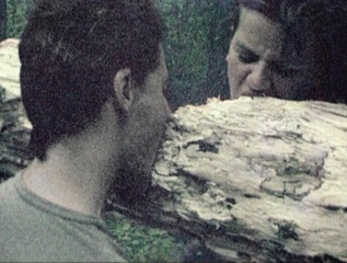 L\'Arbre,Virginie Yassef & Julien Previeux