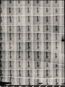 Atsuko_morita