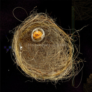 Nest