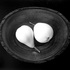 Caponigro_2pears