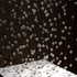 Ror_3052
