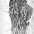 Birdsketch