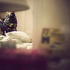 7_catladybed