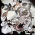 Manette_-_abysmal_sea_cetus_final_sm